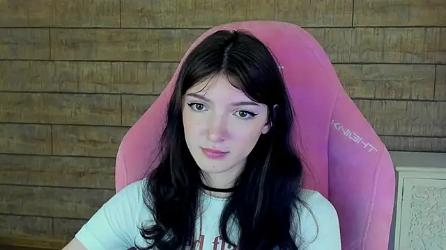 SophiaProve webcam