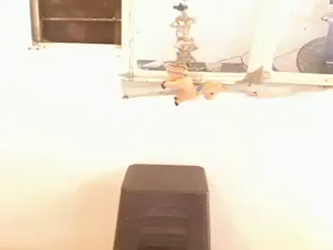 AngelicaDollTs webcam