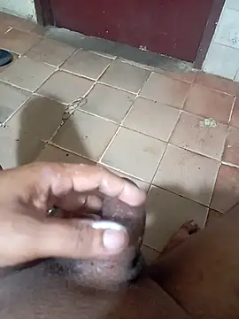 long4930 webcam
