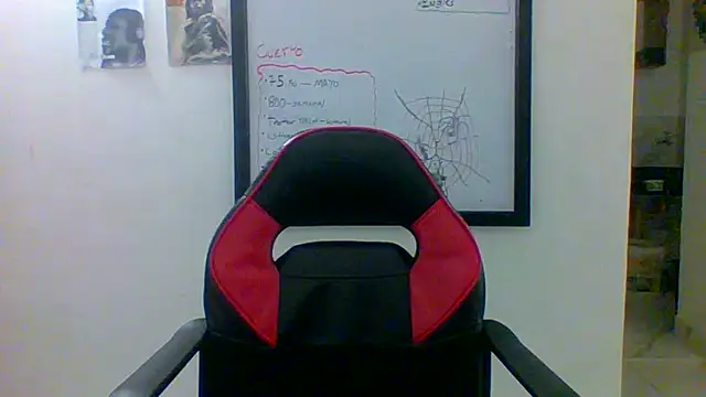 charles_king webcam
