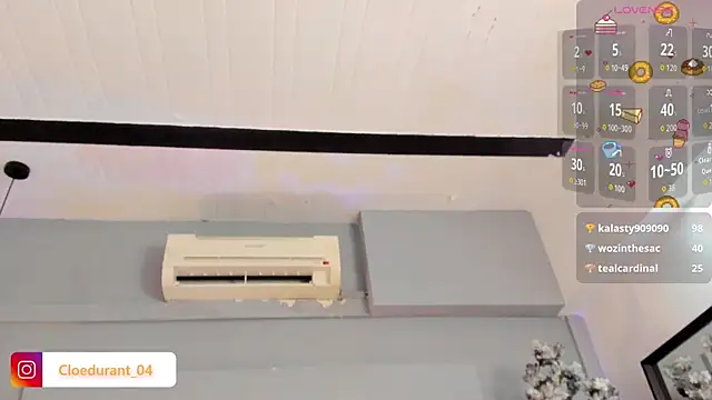 Cloedurant webcam