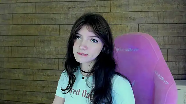 SophiaProve webcam