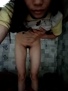 pic8800 webcam