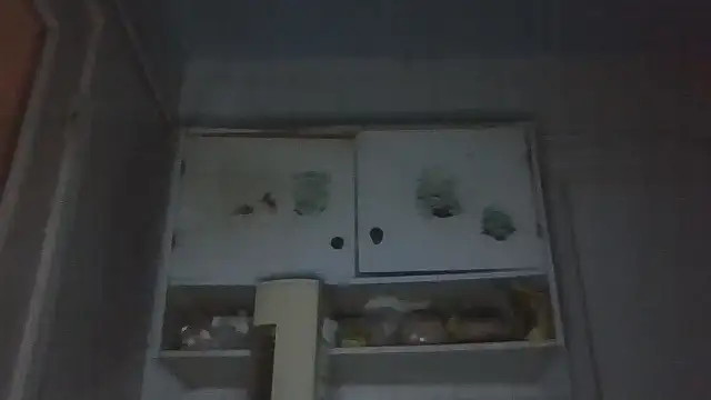 mariusica1@xh webcam