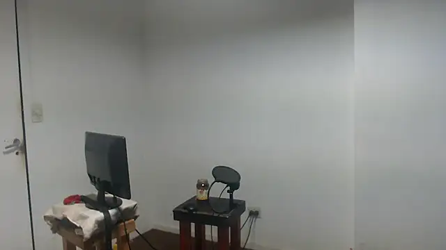 Mastertopdome webcam