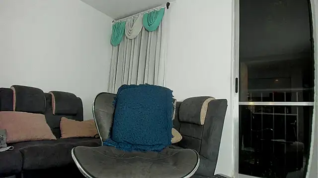 davis_alx1 webcam