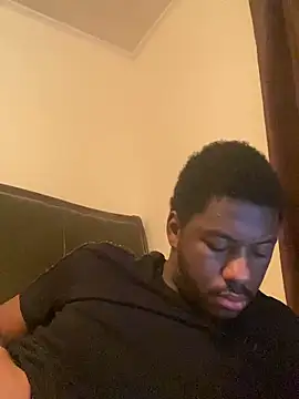 ThickDic28 webcam