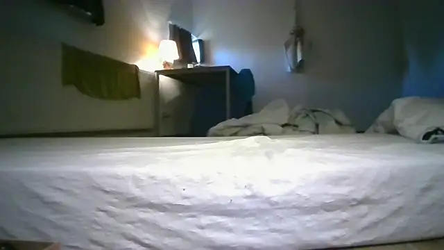 toyxltester webcam