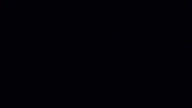 MONA_W webcam
