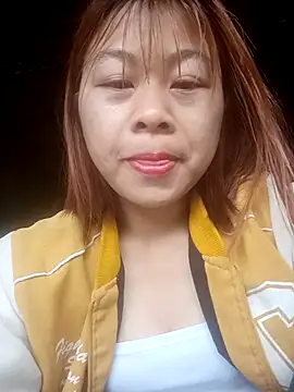 embe1144 webcam