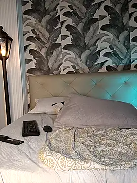 MAFE_STONE webcam