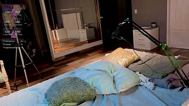 greyslopez webcam