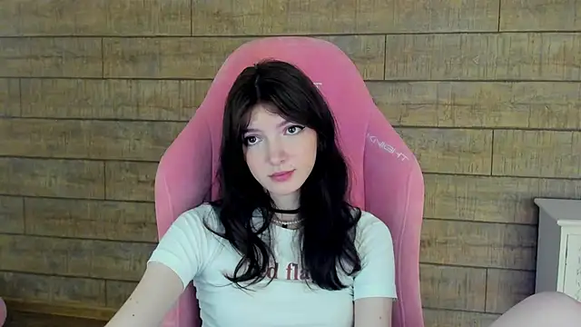 SophiaProve webcam