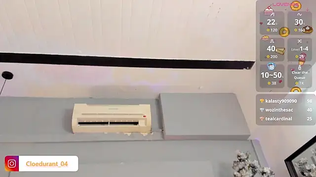 Cloedurant webcam
