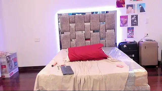 U4e__meg webcam