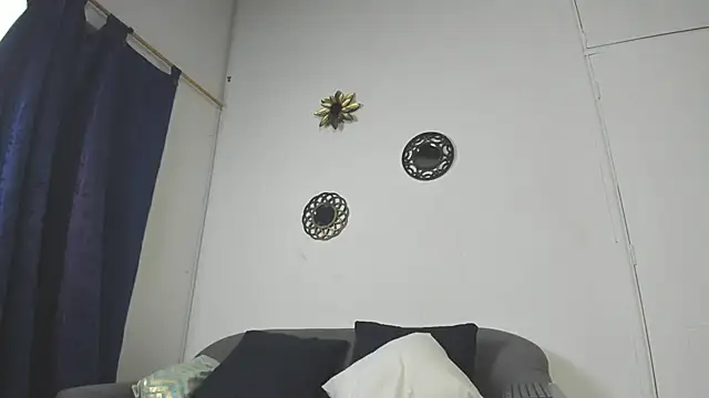 Lyon_vach webcam