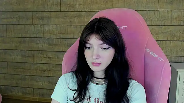 SophiaProve webcam