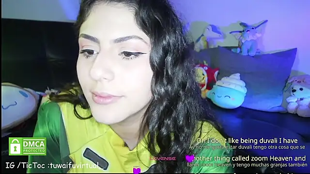 TuWaifuVirtual1 webcam
