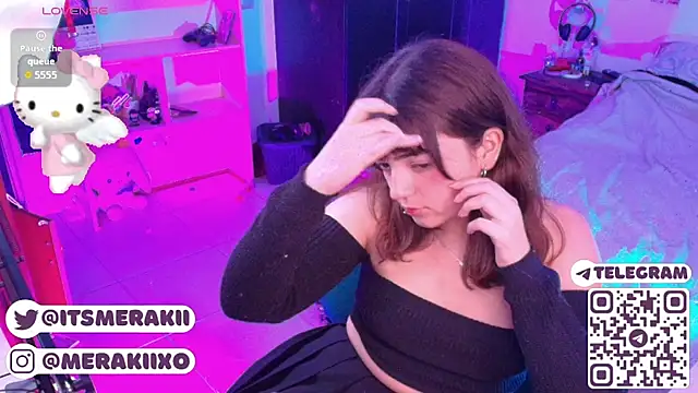 meraki_fraise webcam