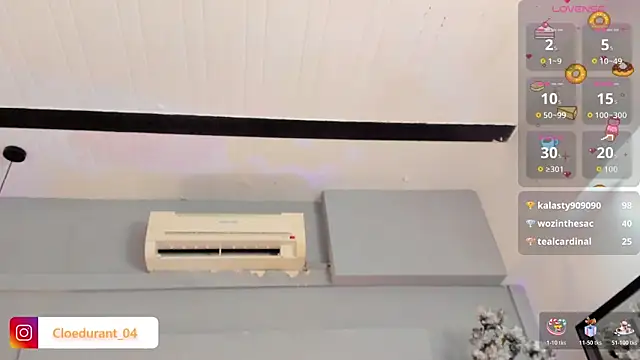 Cloedurant webcam