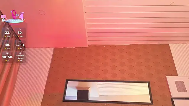 slim_tian webcam