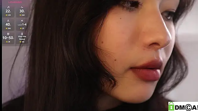 Noiry_Vuvez webcam