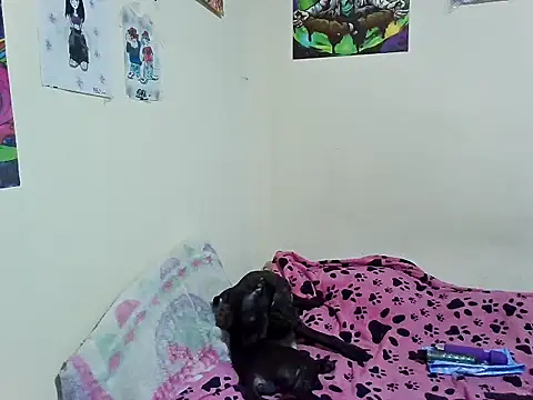 Sole_Angel webcam