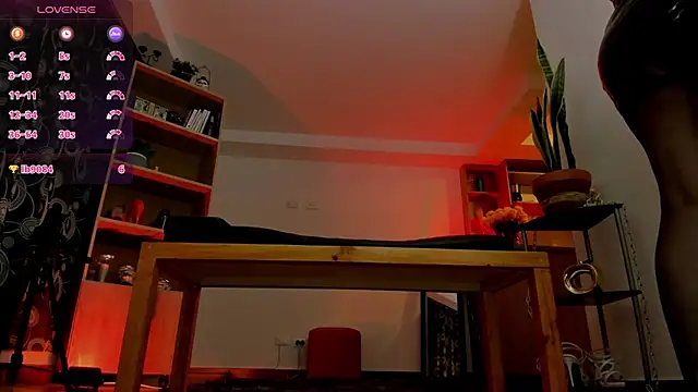 missariadna2 webcam