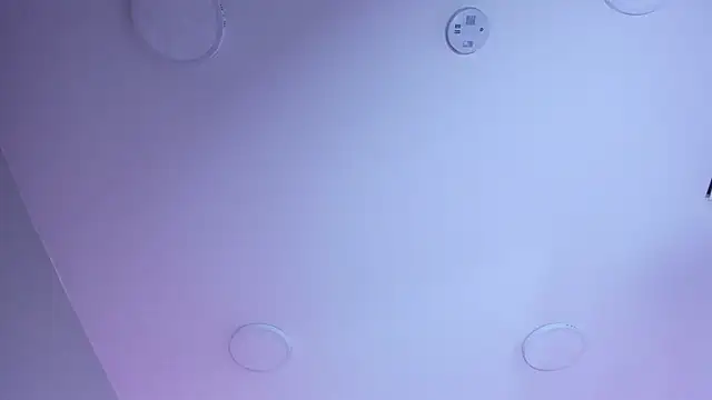 kitticam webcam