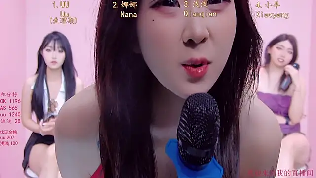 MS-888 webcam