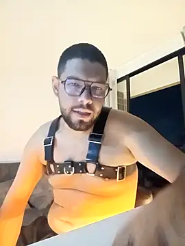 CortBlumer webcam