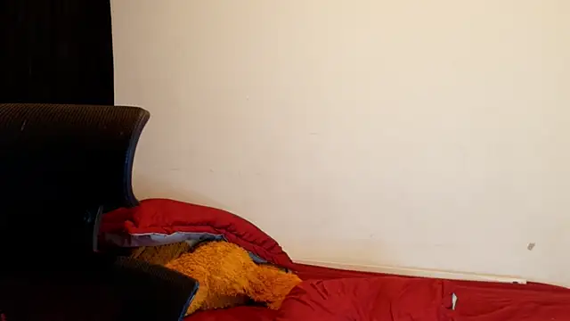 jimmy_class webcam