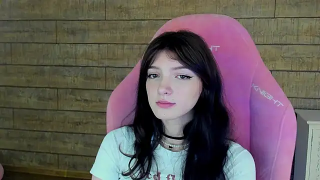 SophiaProve webcam