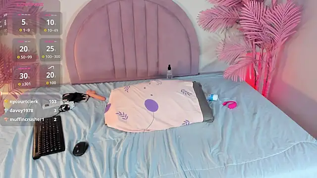 Nalapalmer webcam
