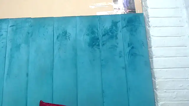 Thin-Thong_ webcam