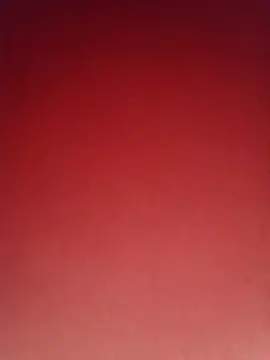 SizeRecall webcam