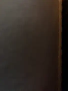 tunneltom webcam