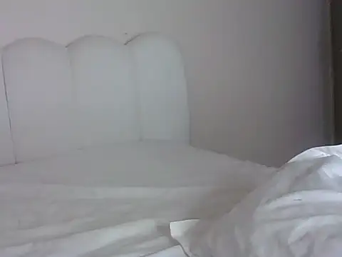 Switdelfy webcam