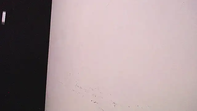 Joan_silva webcam