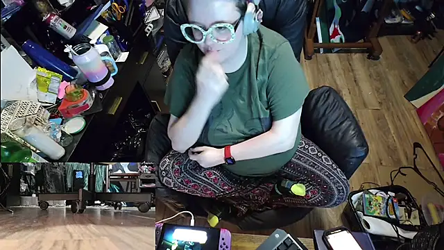Sinstresshemlock webcam