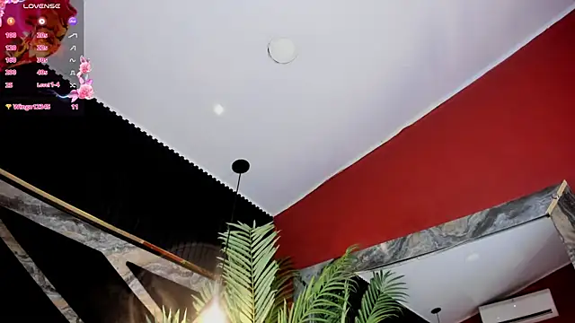 SandyFeral webcam