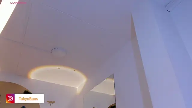 TokyoHaskel webcam