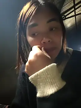 mon-monk webcam