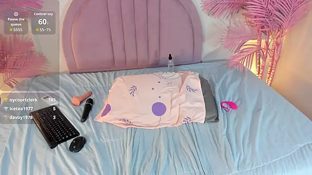 Nalapalmer webcam