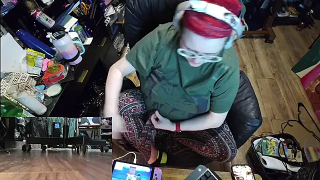 Sinstresshemlock webcam