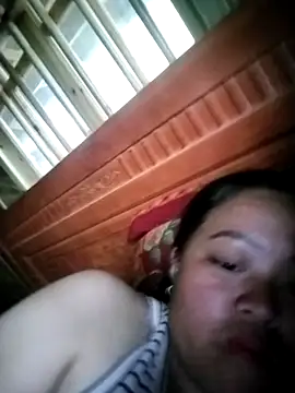 Min-in webcam