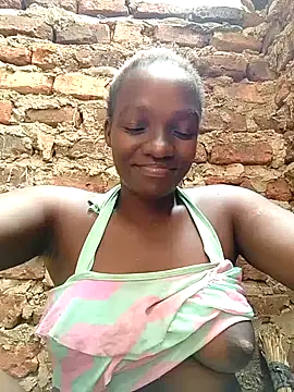 shape30 webcam