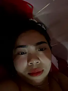 Nul_chal webcam