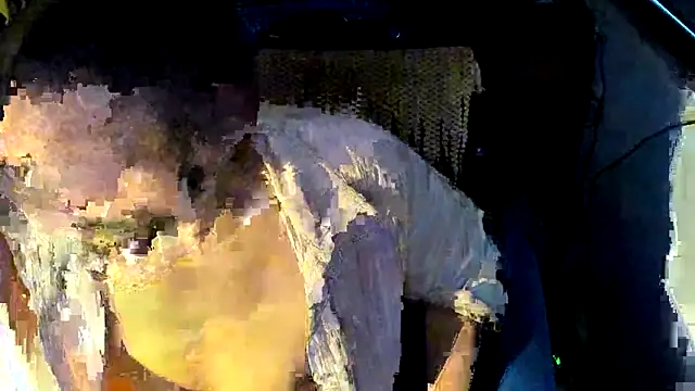 CassiusJohnson webcam