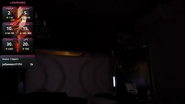NikyDark webcam